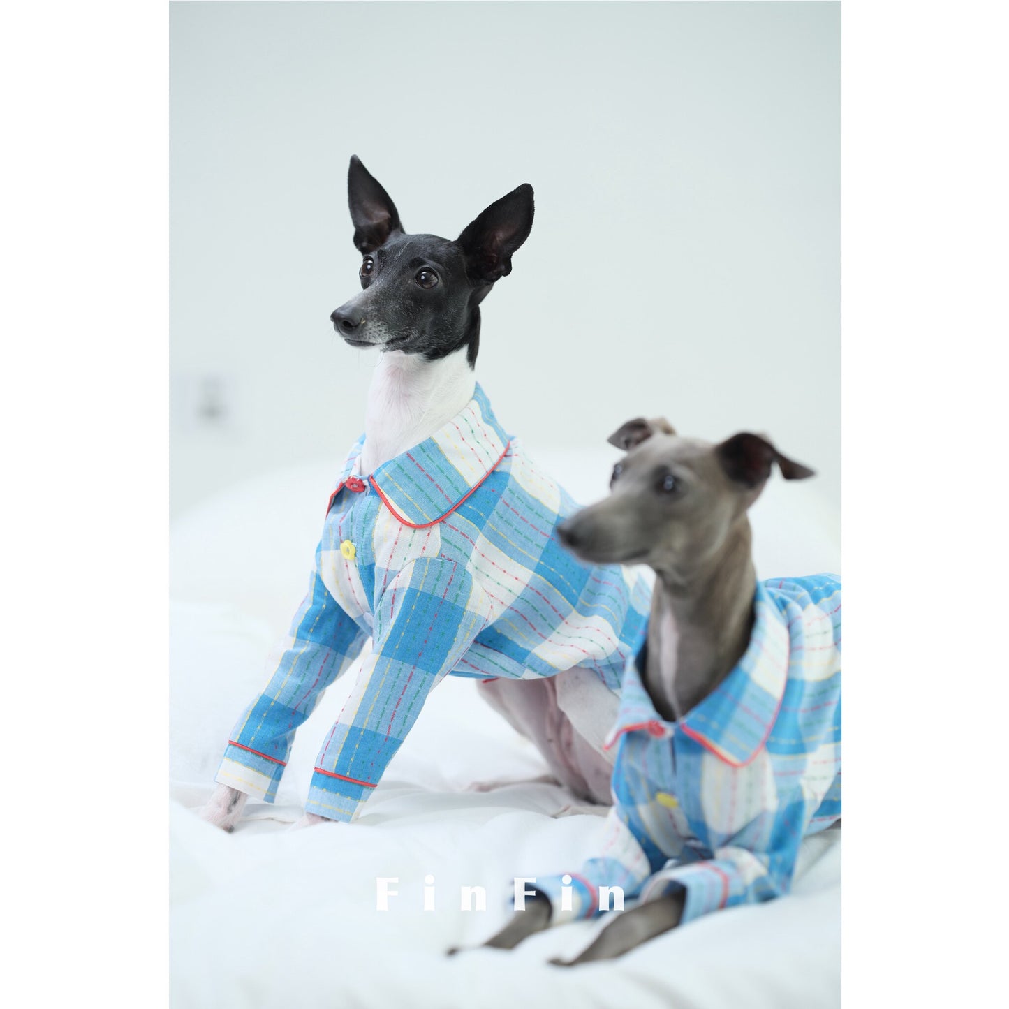 Plaid Cotton Dog Pajamas for Italian Greyhounds