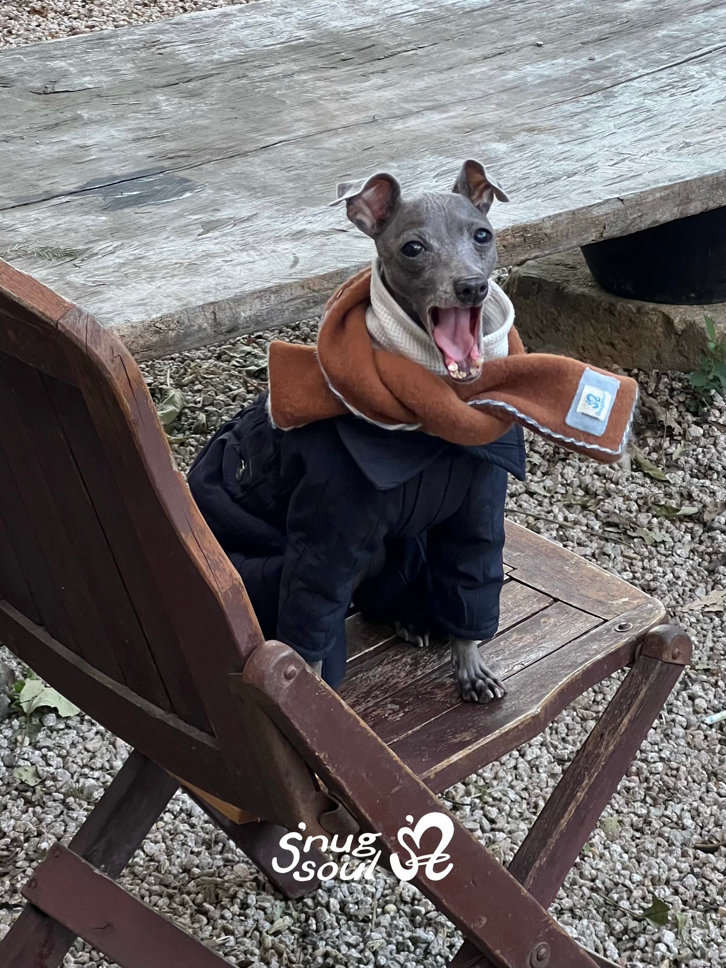 Detachable Quilted Dog Jacket and Pants Set