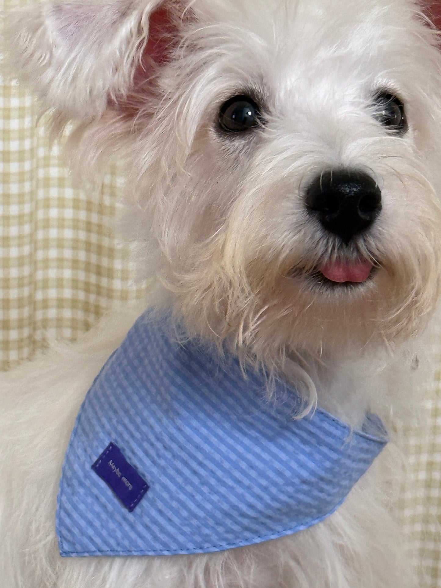 POXFFEE Custom Puppy Drool Bib