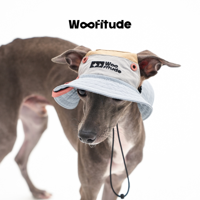 Nylon Dog Bucket Hat