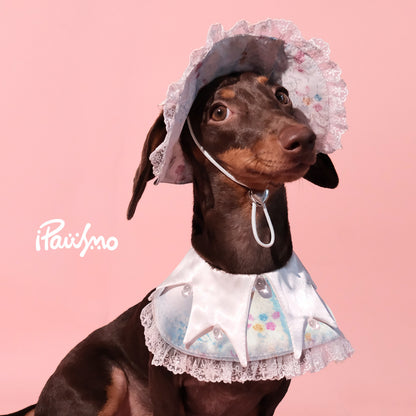 Lace Dog Bandana & Bucket Hat