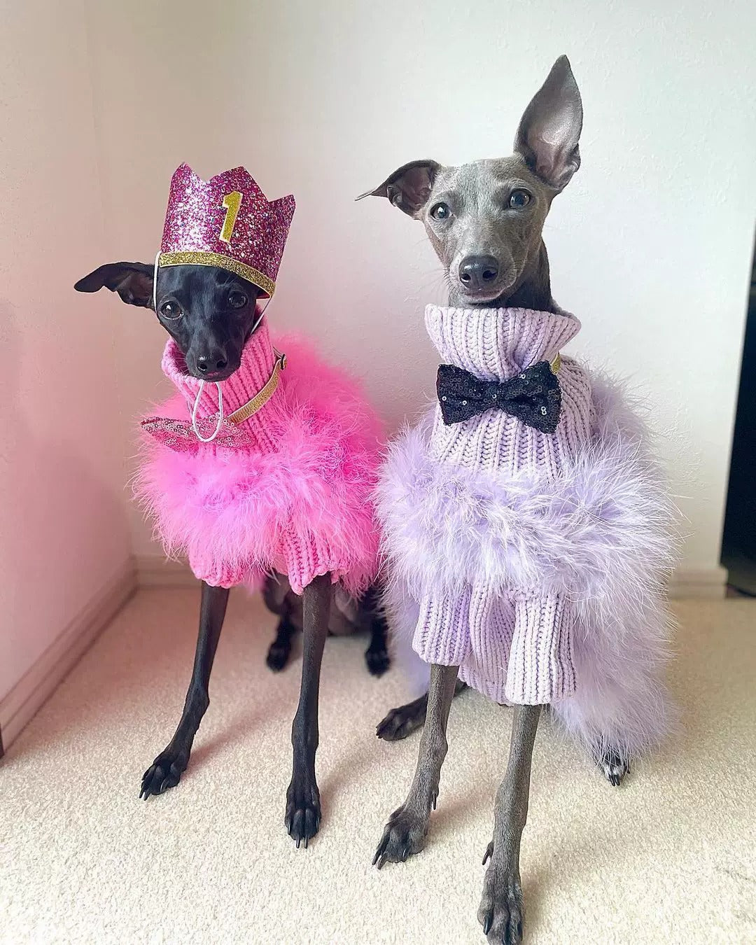 Luxury Feather Knit Sweater for Italian Greyhound & Whippet