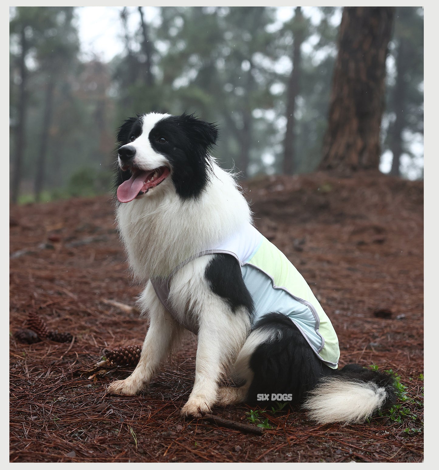 Cooling UV Protection Dog Vest