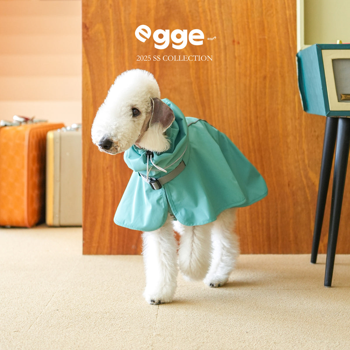Lightweight Water-Repellent Rain Cape for Italian Greyhounds