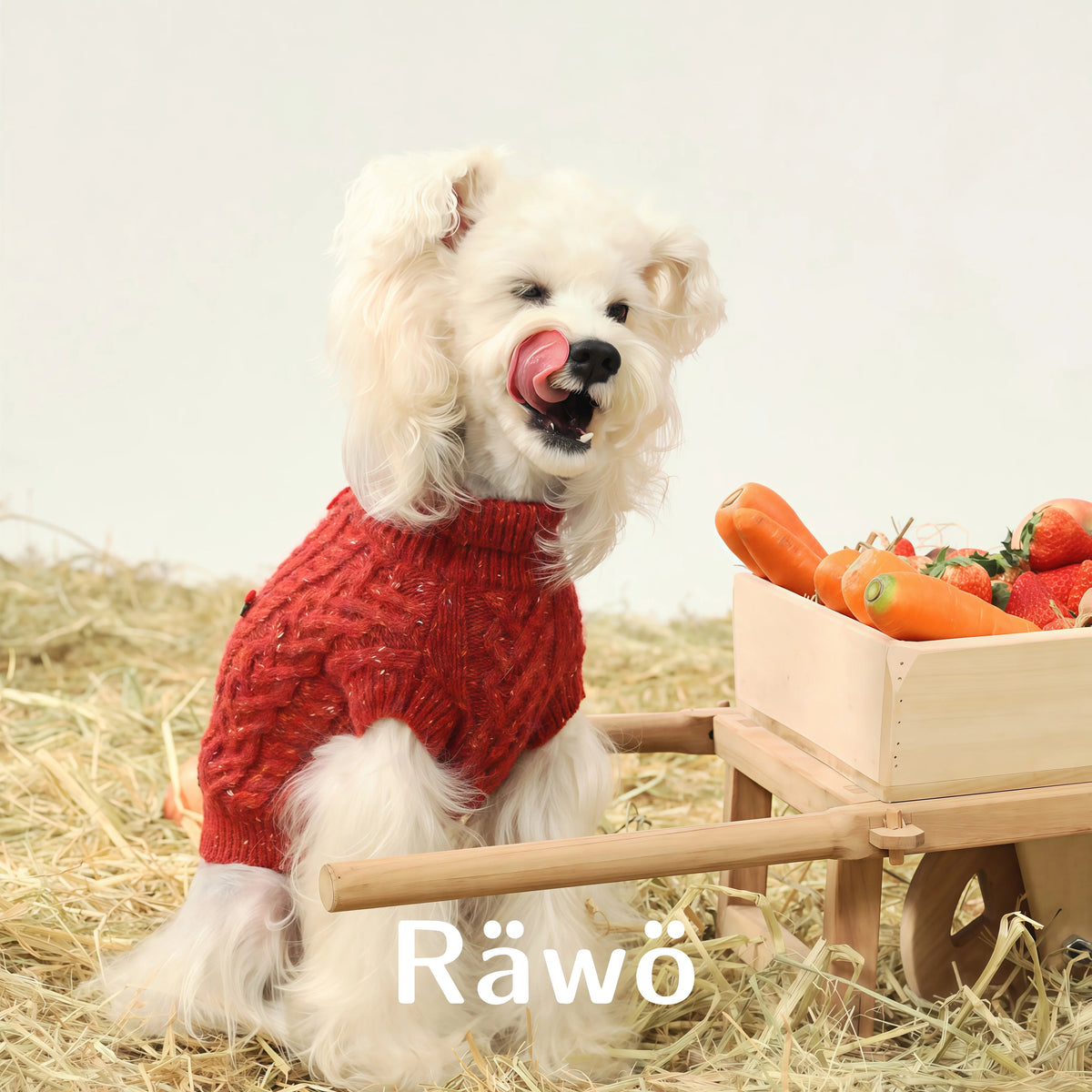 Handmade Wool Dog Sweaters Vest for Christmas New Year