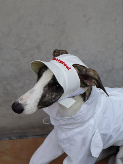 Reversible Embroidered Pet Hat