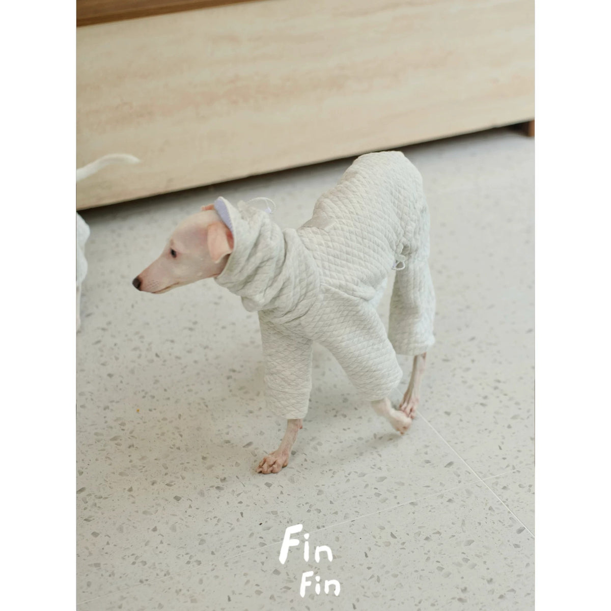 Autumn Dog Hooded Striped Spliced Sweatshirt