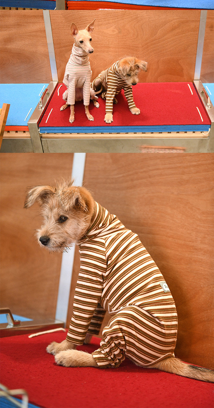 Striped Dog 4-Leg Base Layer