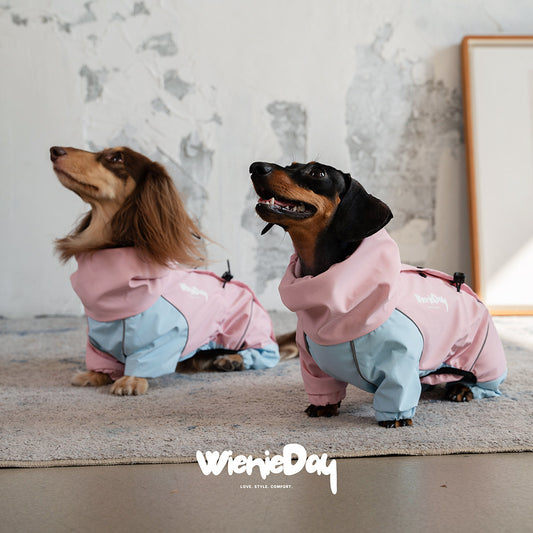 Waterproof Dog Raincoat