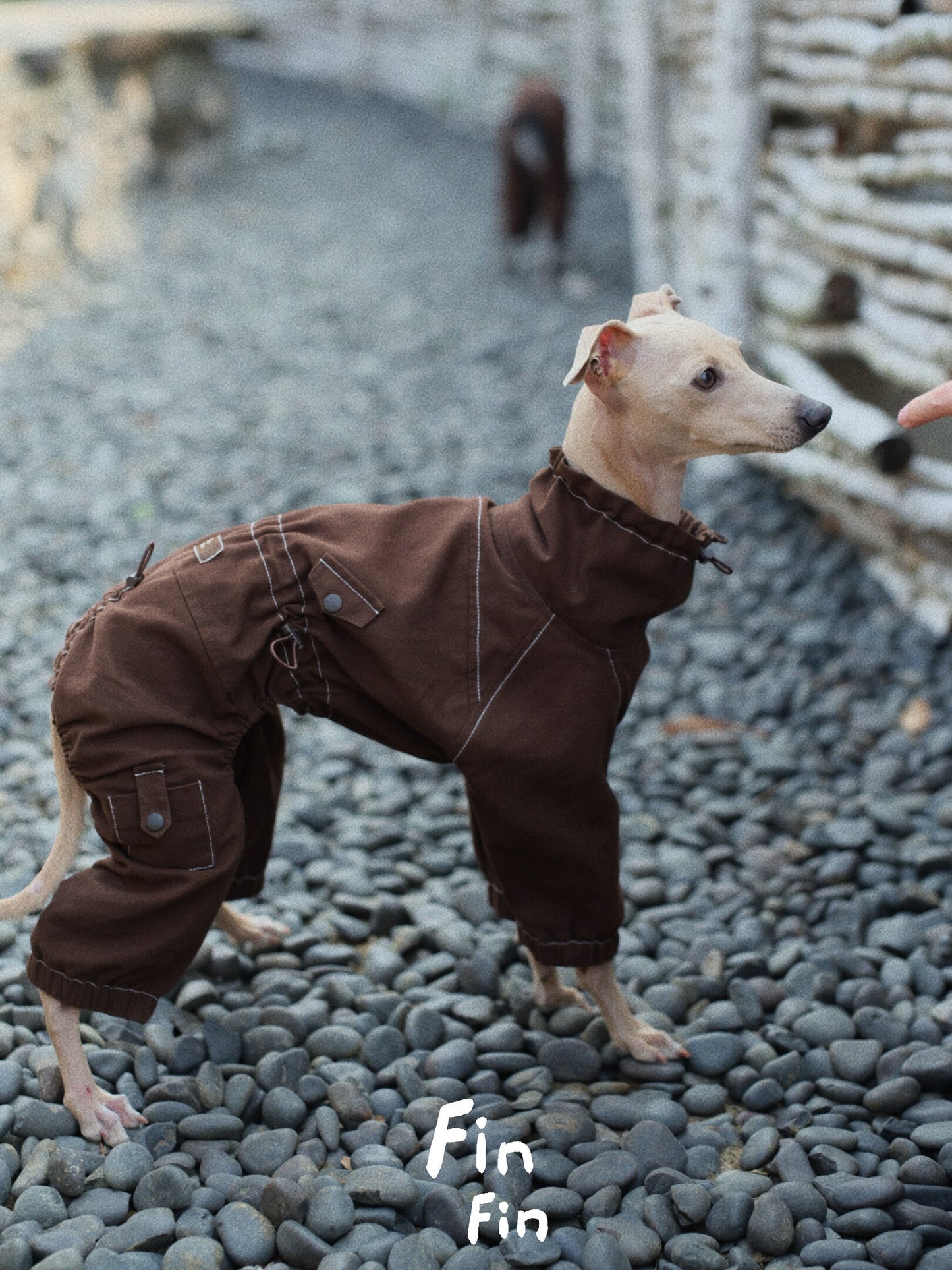 Four-Leg Utility Dog Coat with Contrast Stitching