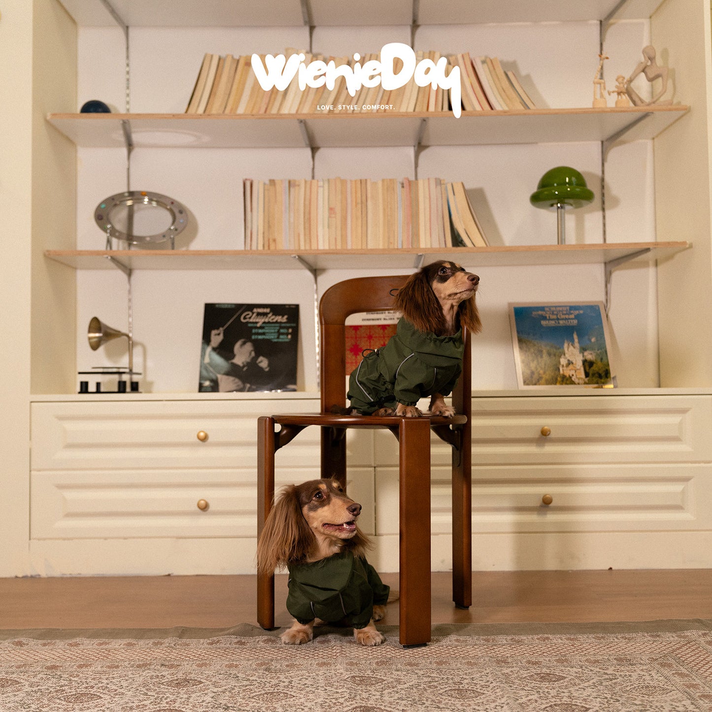 WienieDay Full-Body Dachshund Rain Jacket