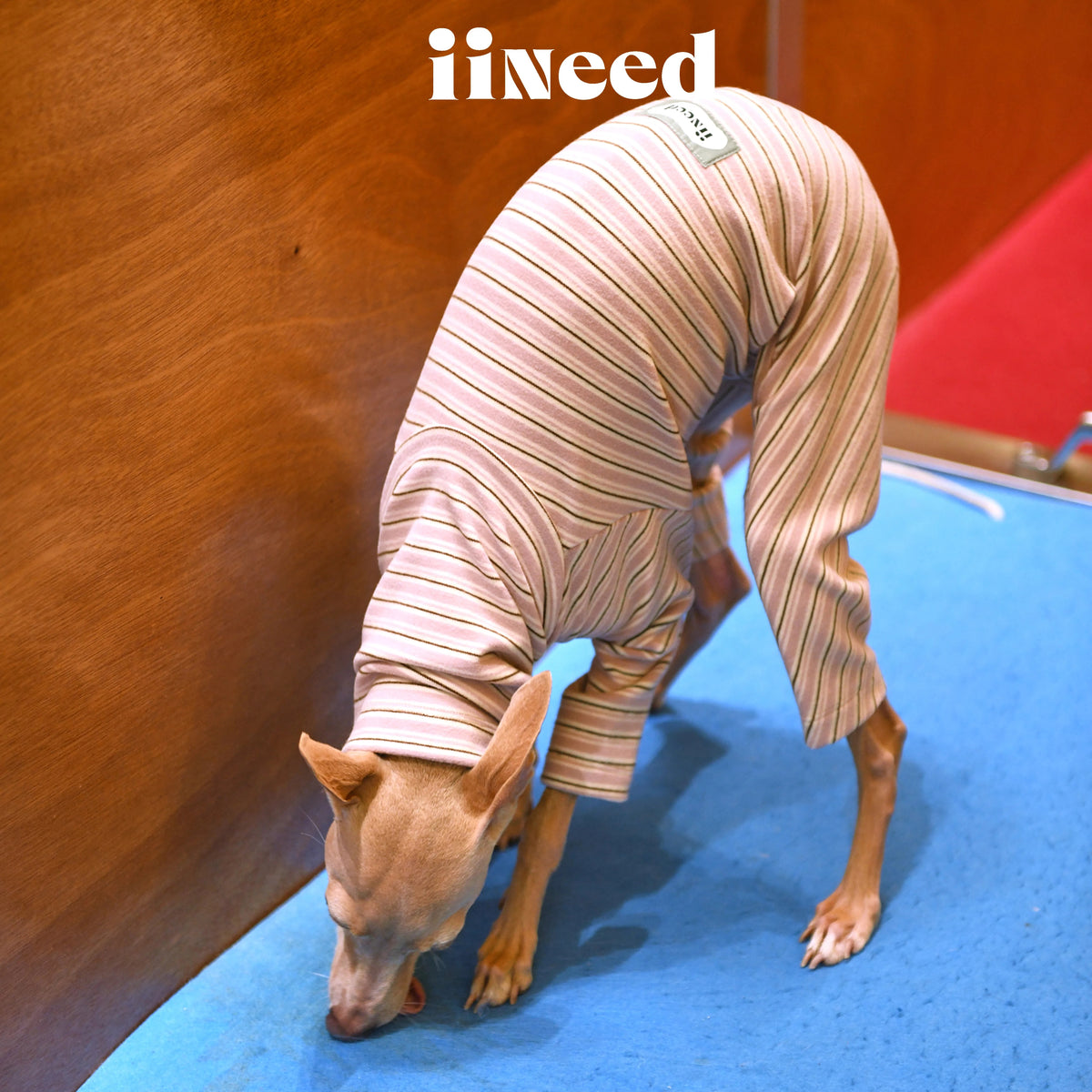 Striped Dog 4-Leg Base Layer
