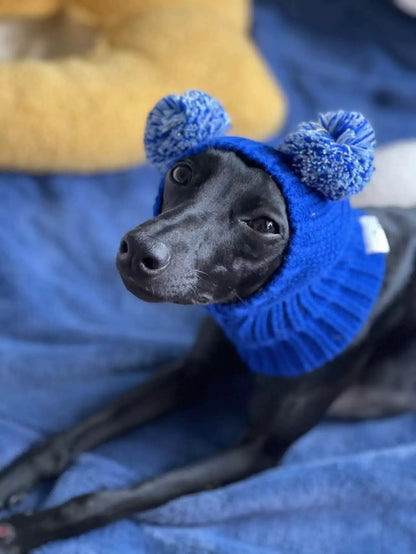 Hand-Knit Yarn Dog Hat for Italian Greyhound Whippet