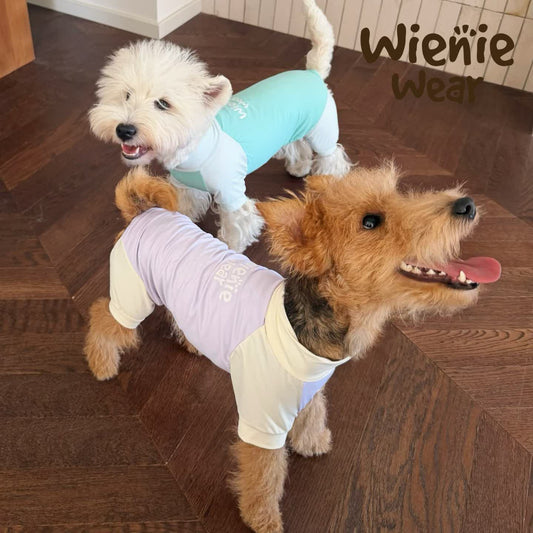 UPF50+ Cooling Dog Jumpsuit