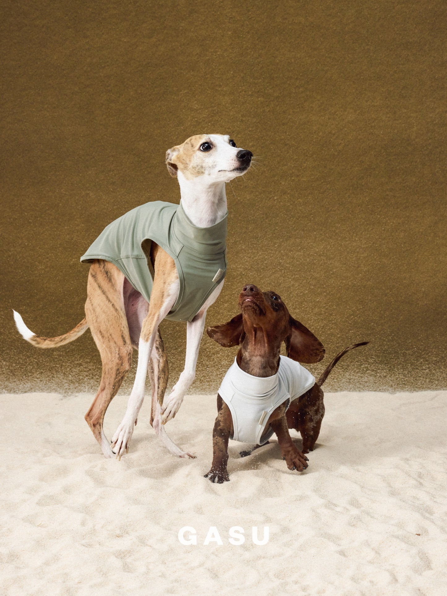 UPF1000+ Cooling Dog Sun Vest