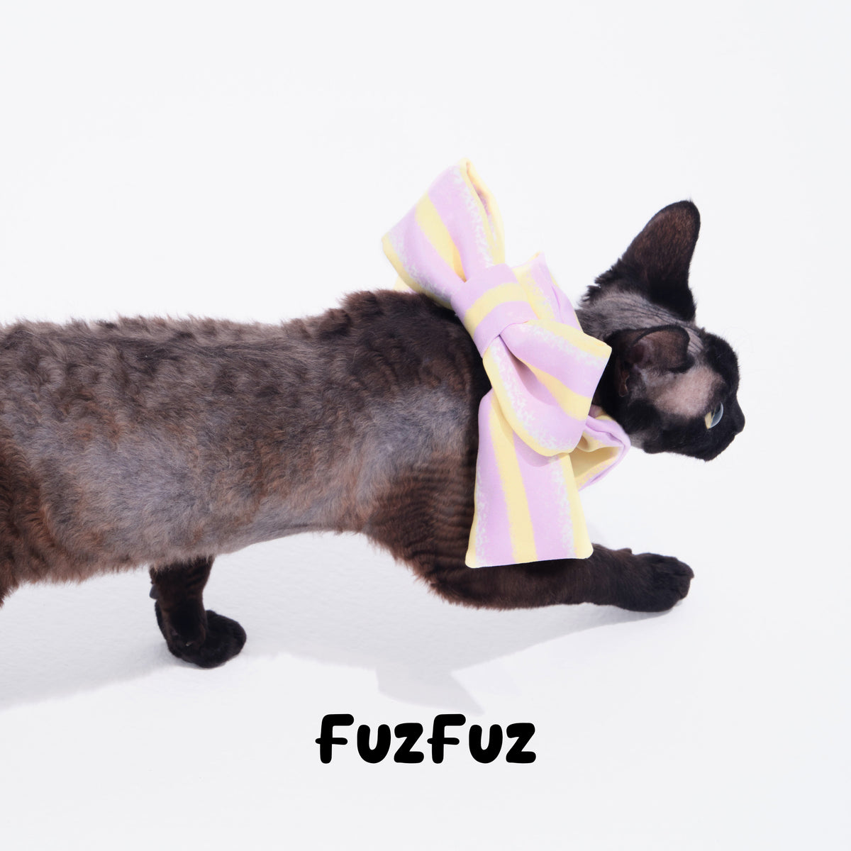 Bow Pet Bandana Collar
