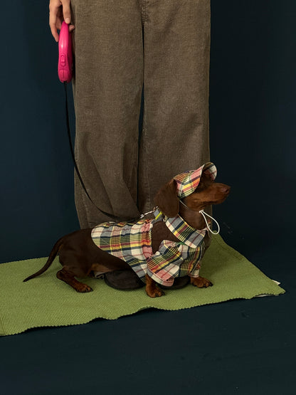 POXFFEE Plaid Shirt or Hat for Small Dogs
