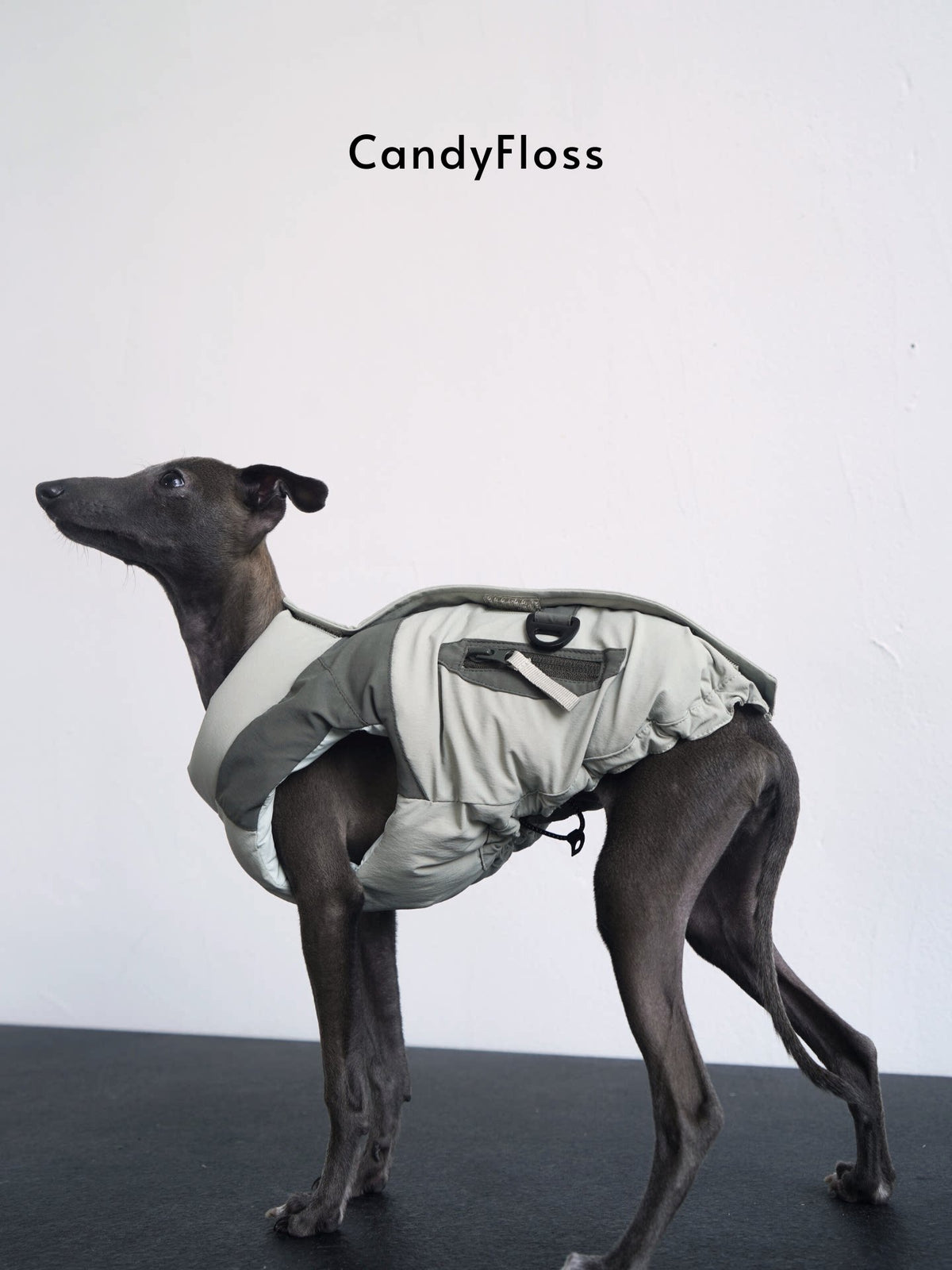 700-Fill Goose Down Dog Jacket