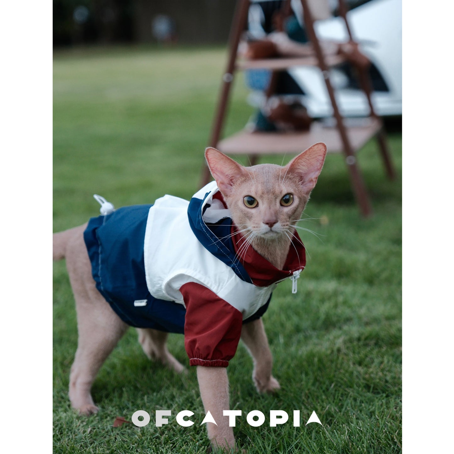 OfCatopia Y2K Colorblock Hooded Raincoat for Cats Dogs