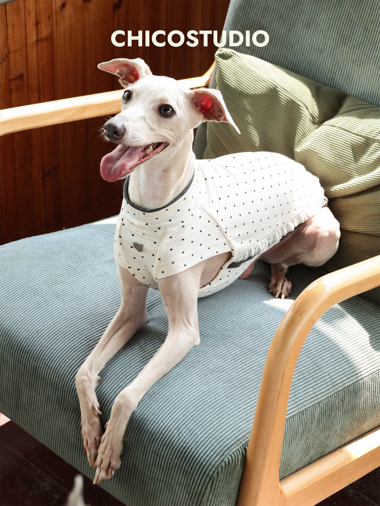 Polka Dot Ruffle Cotton Dog Tank Top