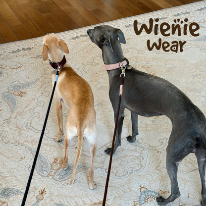 Correa Antichoque Colorida Wienie Wear