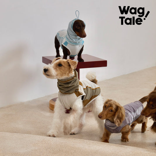 WagTale Cooling Dog Shirt