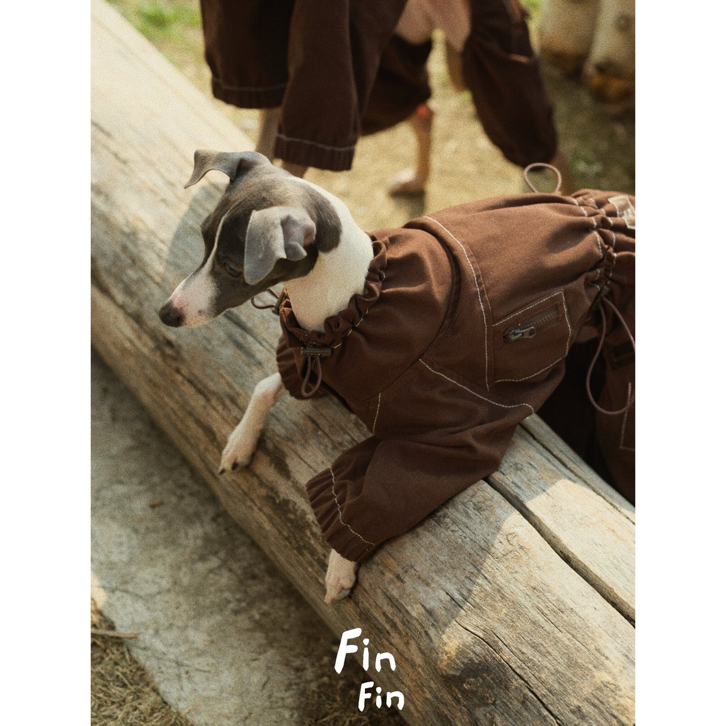 Four-Leg Utility Dog Coat with Contrast Stitching
