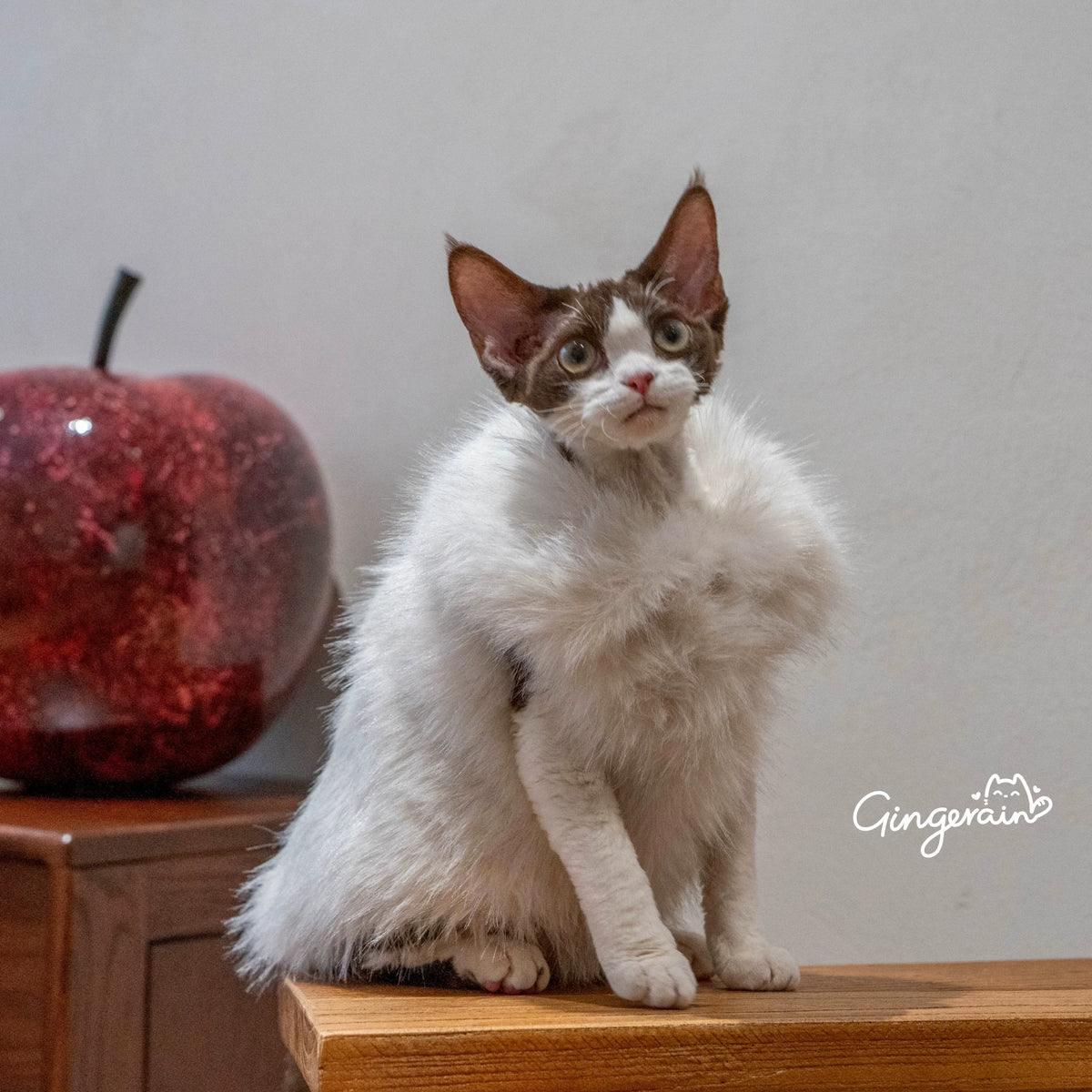 Faux Fur Cat Winter Vest Coat