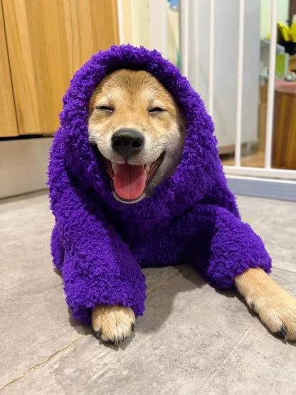 Custom Dog Sweaters Jumpsuit for Whippet Greyhound
