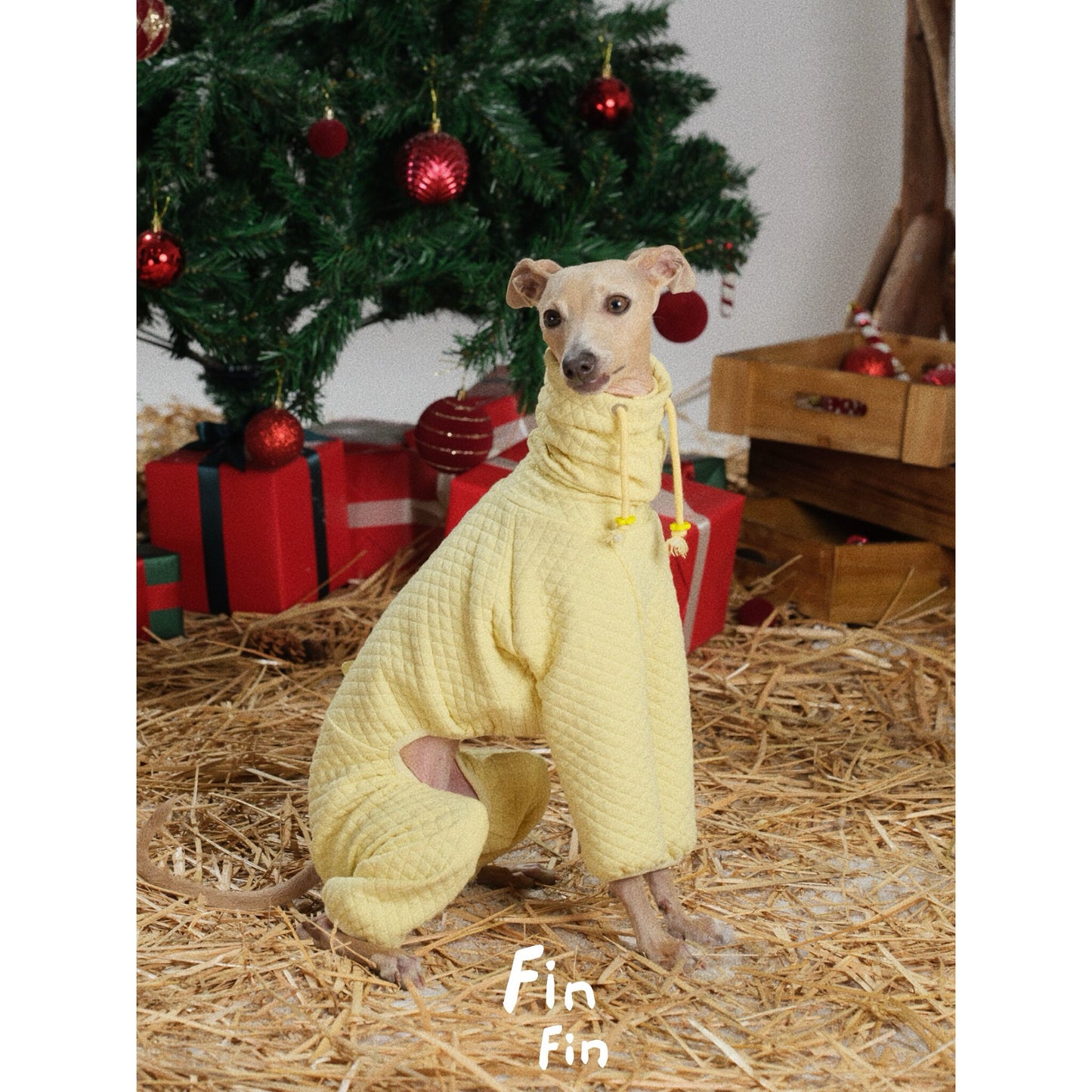 Yellow Diamond Dog Hoodie for Italian Greyhounds