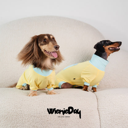 Wienieday Ice-Cool Four-Leg Sunsuit for Dachshunds