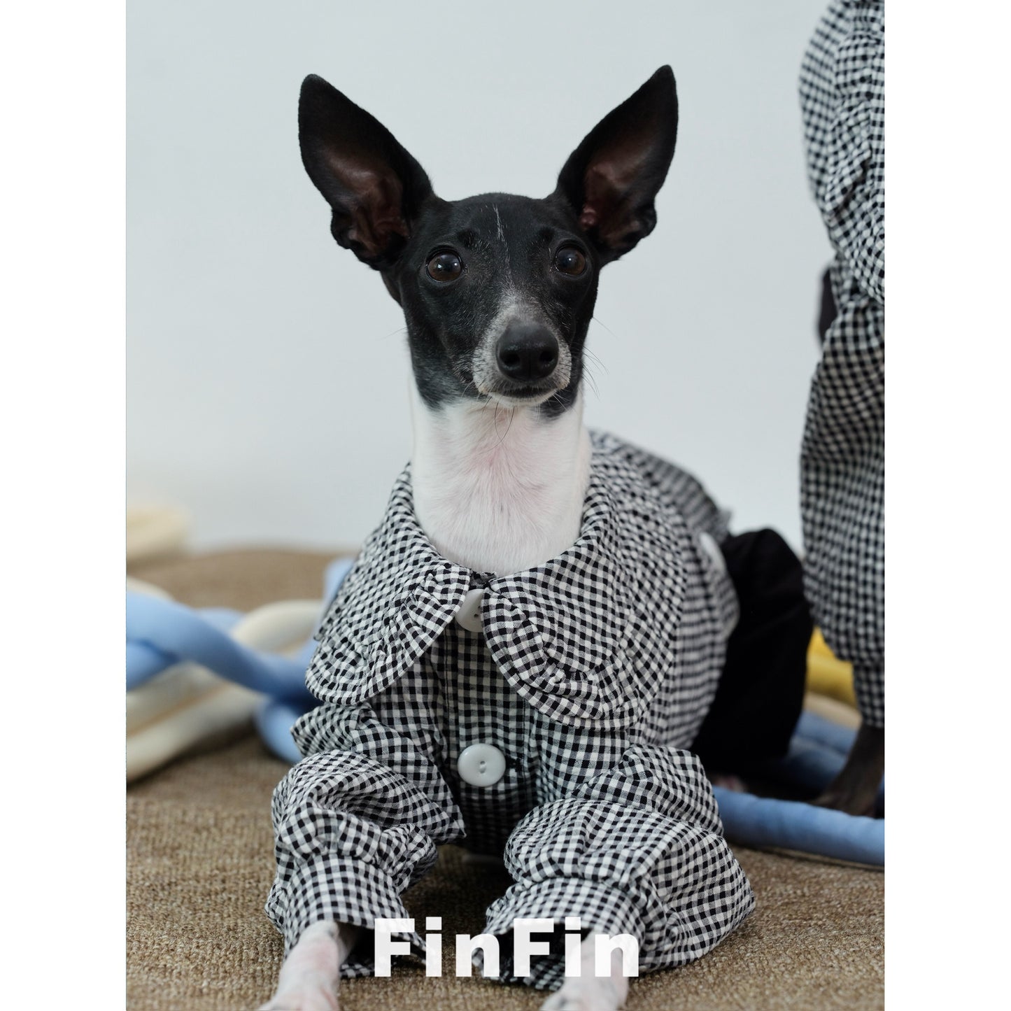 Linen Peter Pan Collar Pet Shirt