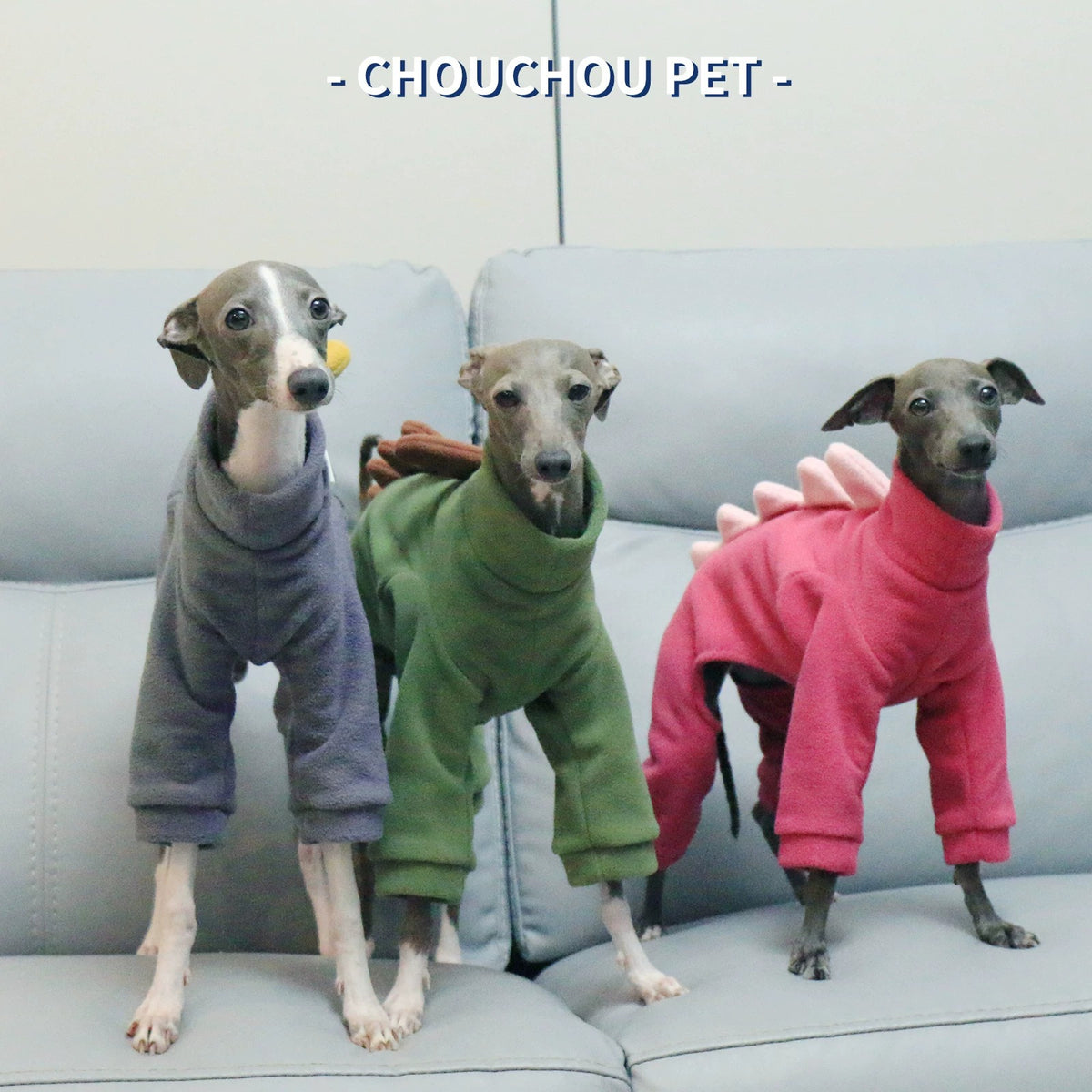 Dinosaur Fleece 4-Leg Dog Jumpsuit