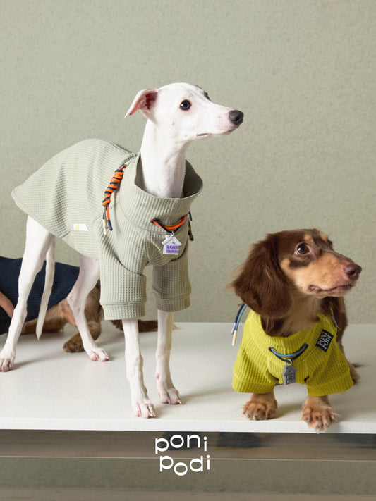 Waffle Dog Sweaters Jumpsuit for Sighthound