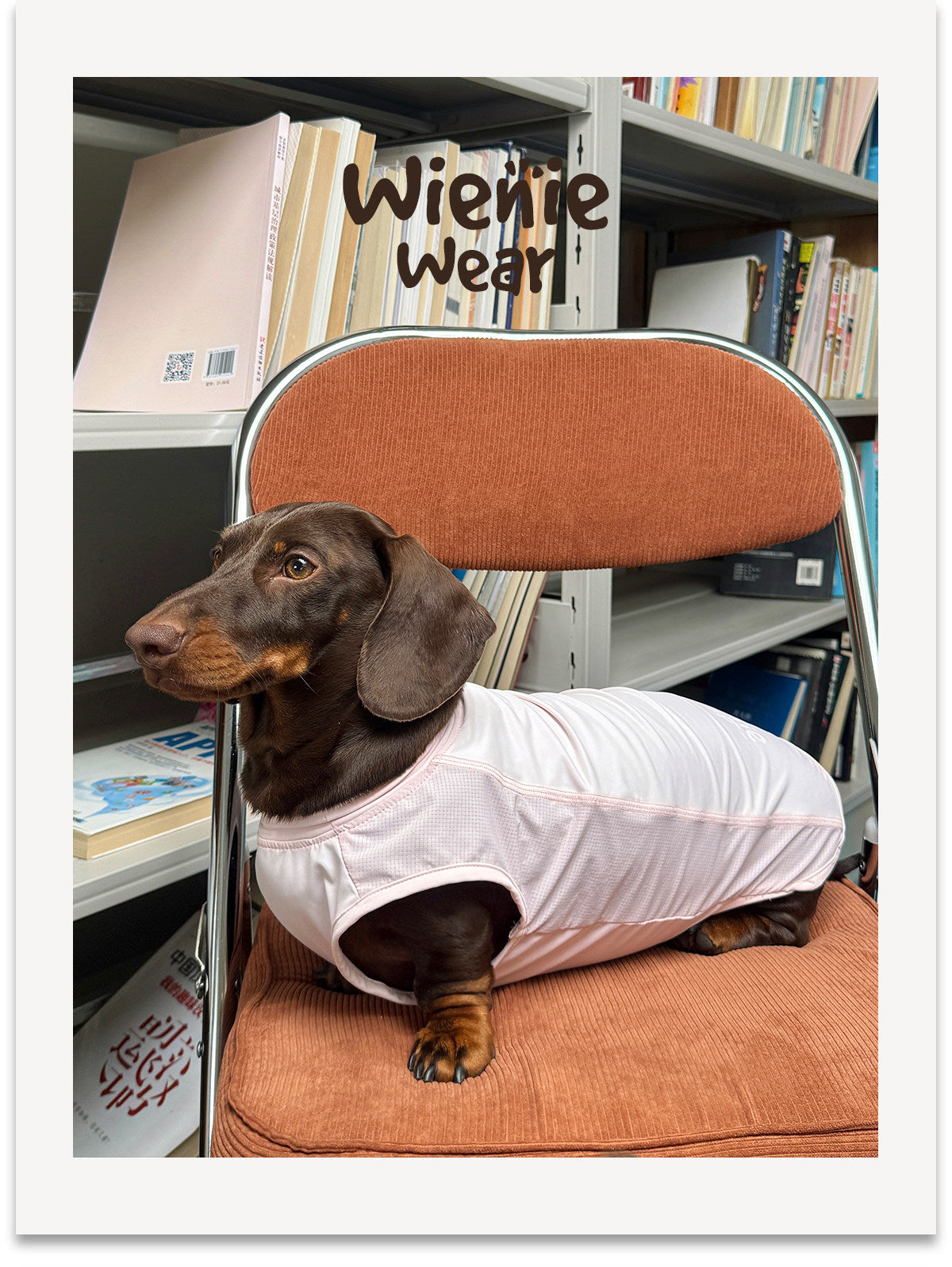 UPF50+ Cooling Dog Vest