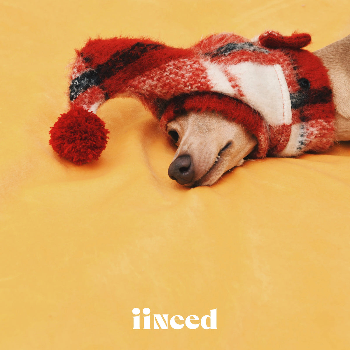 Red Plaid Elf Pet Hat