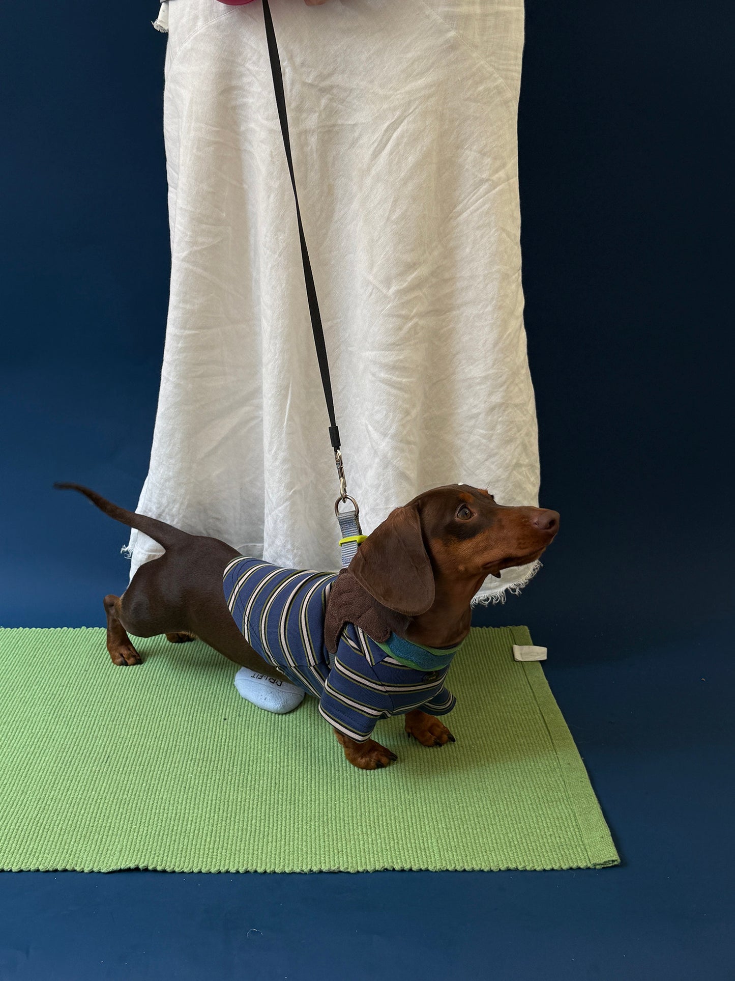 POXFFEE Vintage Stripe Matching Dog Outfit