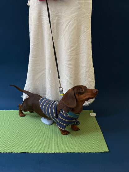 POXFFEE Vintage Stripe Matching Dog Outfit