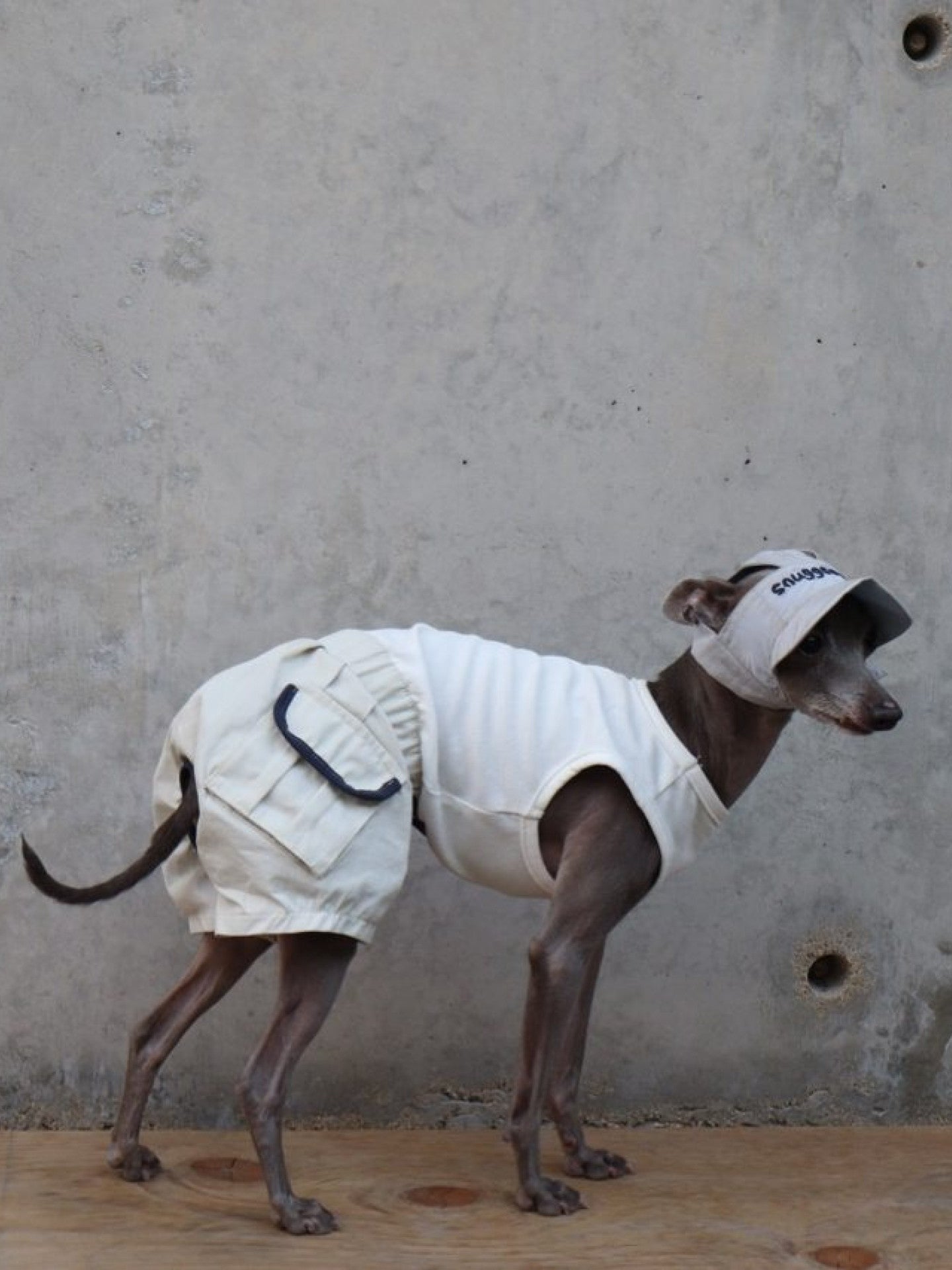 Utility Jumpsuit Dog Romper