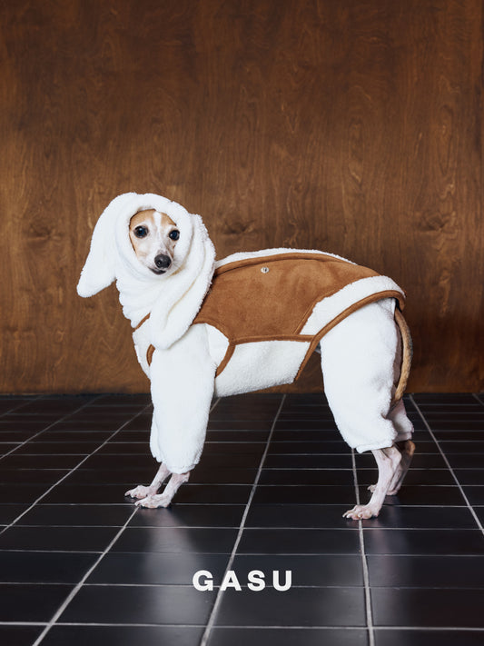 Rabbit Ear Fleece Dog Jumpsuit Hoodie