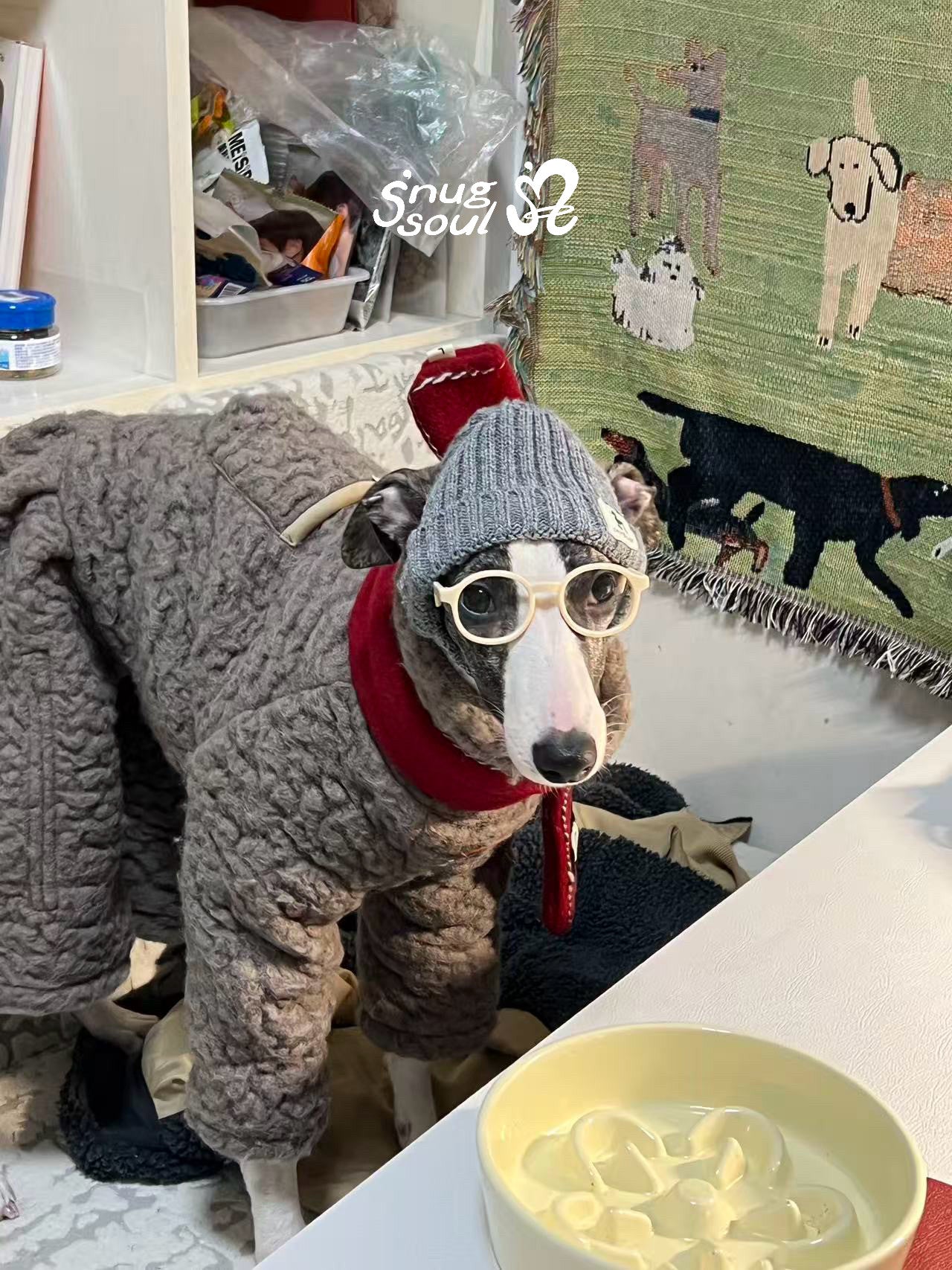 Wool-Blend Four-Leg Dog Onesie for Italian Greyhounds