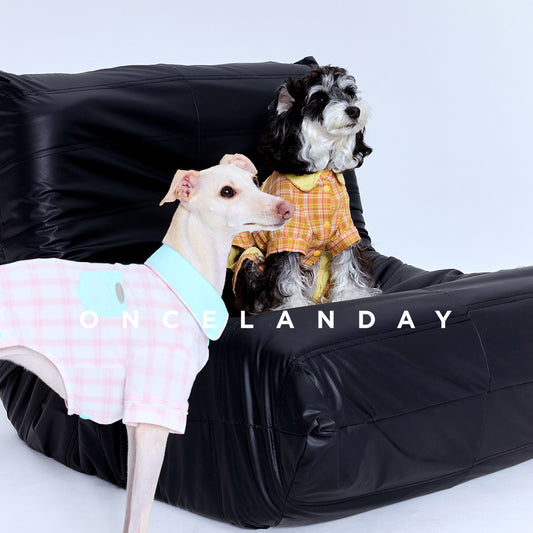 Matching Dog Pajama Set for Pet Parents