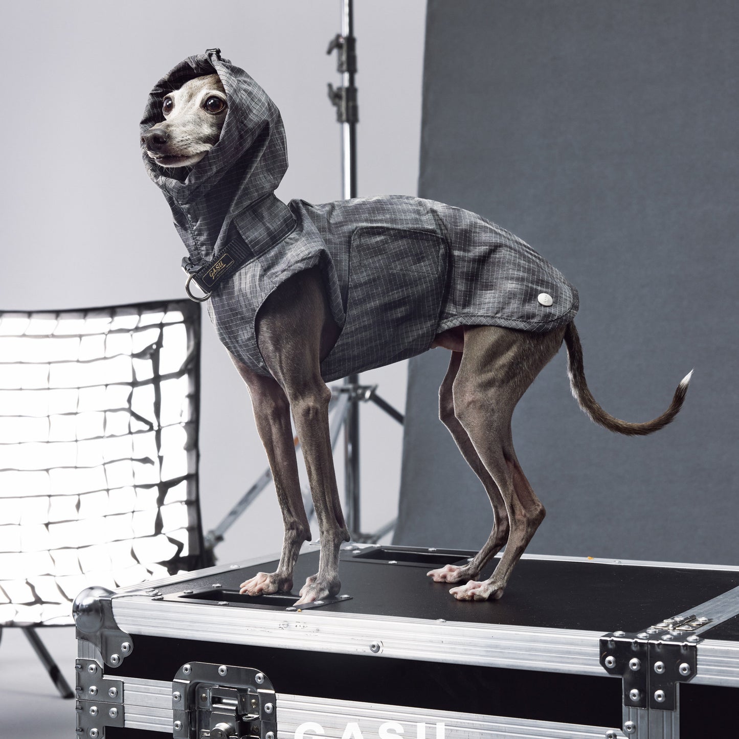 Reflective Waterproof Dog Raincoat Vest