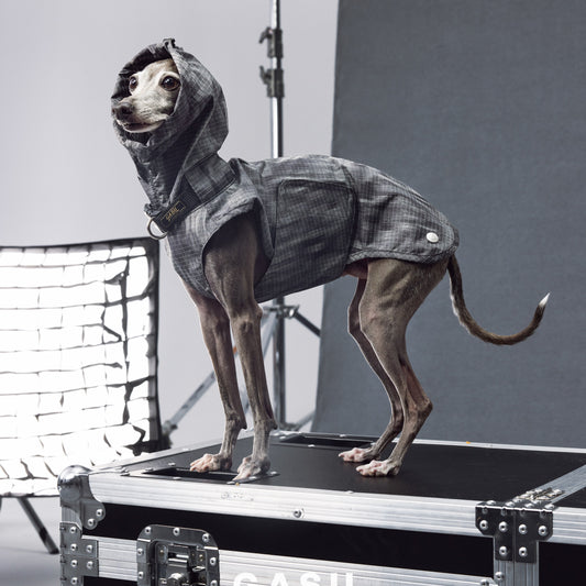 Reflective Waterproof Dog Raincoat Vest