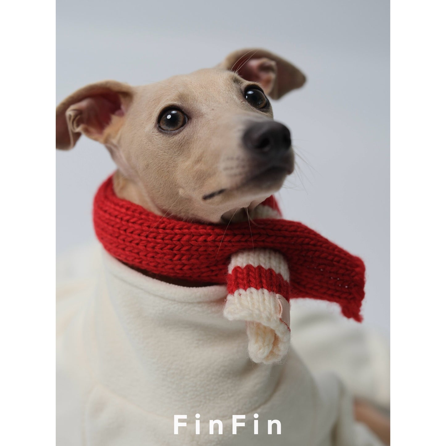 Striped Wool-Blend Dog Scarf for Small Breeds