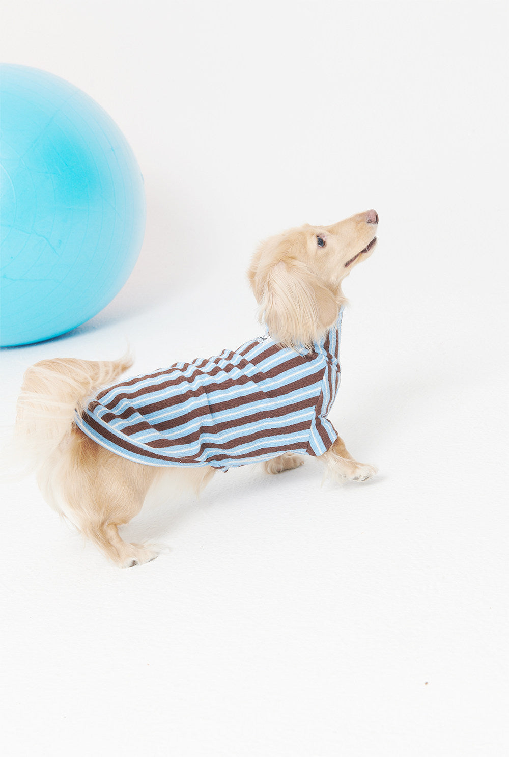 Striped Hooded Dog Two-Leg Jumpsuit