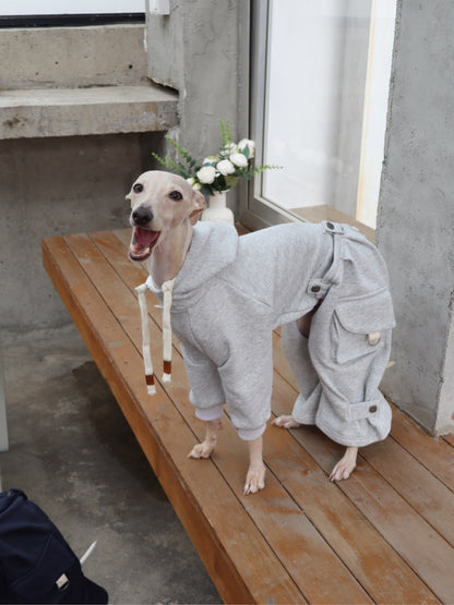 Detachable Dog Hoodie and Pants Set