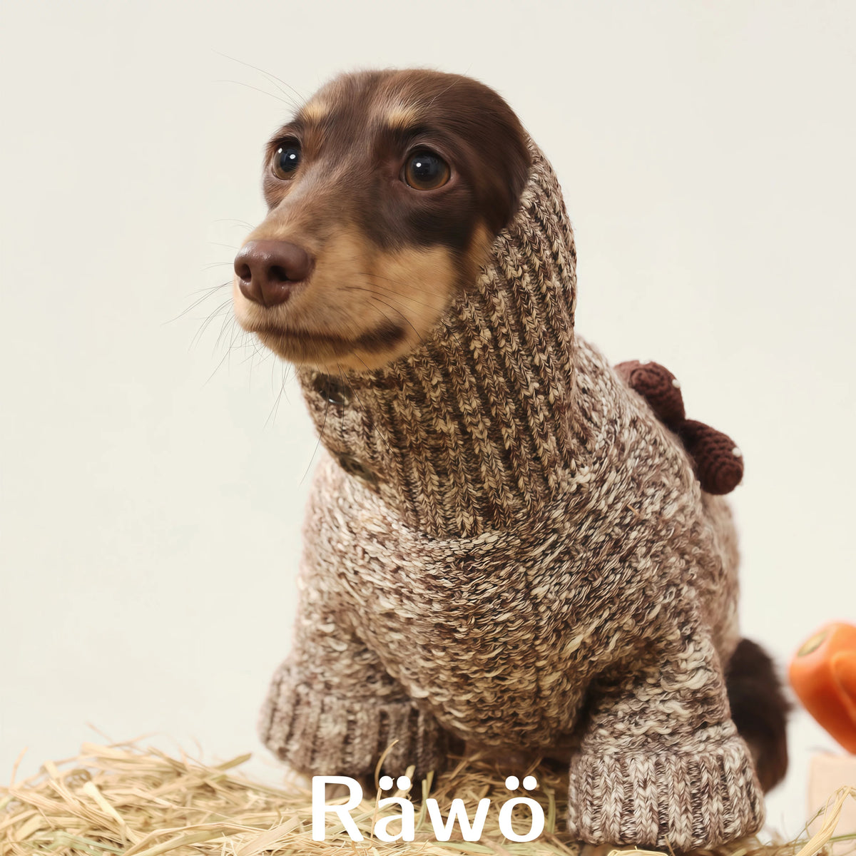 Ranch Story Handmade Mushroom Dog Sweaters Two-Leg Knit Top