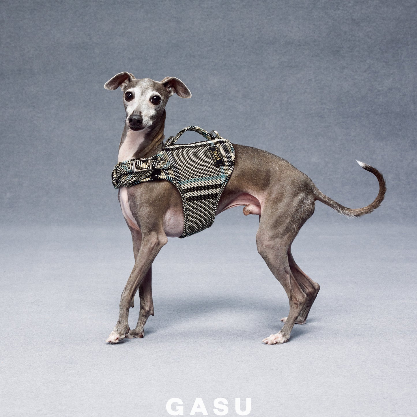 GASU Variété Italian Fabric Adjustable Dog Harness