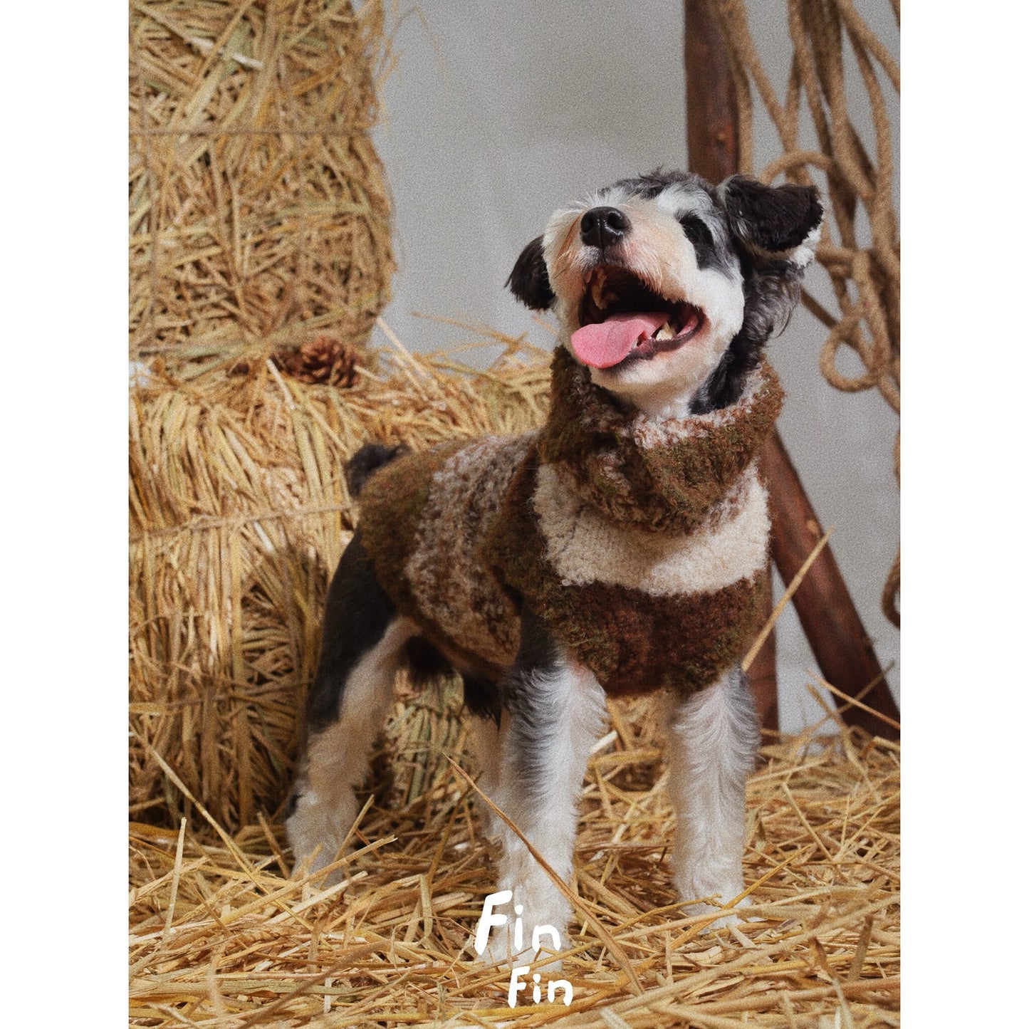 Whippet Dachshund Wool Blend Vest